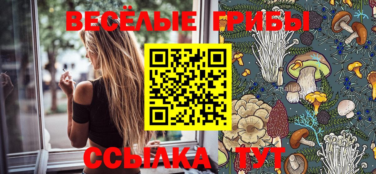 Галлюциногенные грибы Magic Shrooms Воткинск