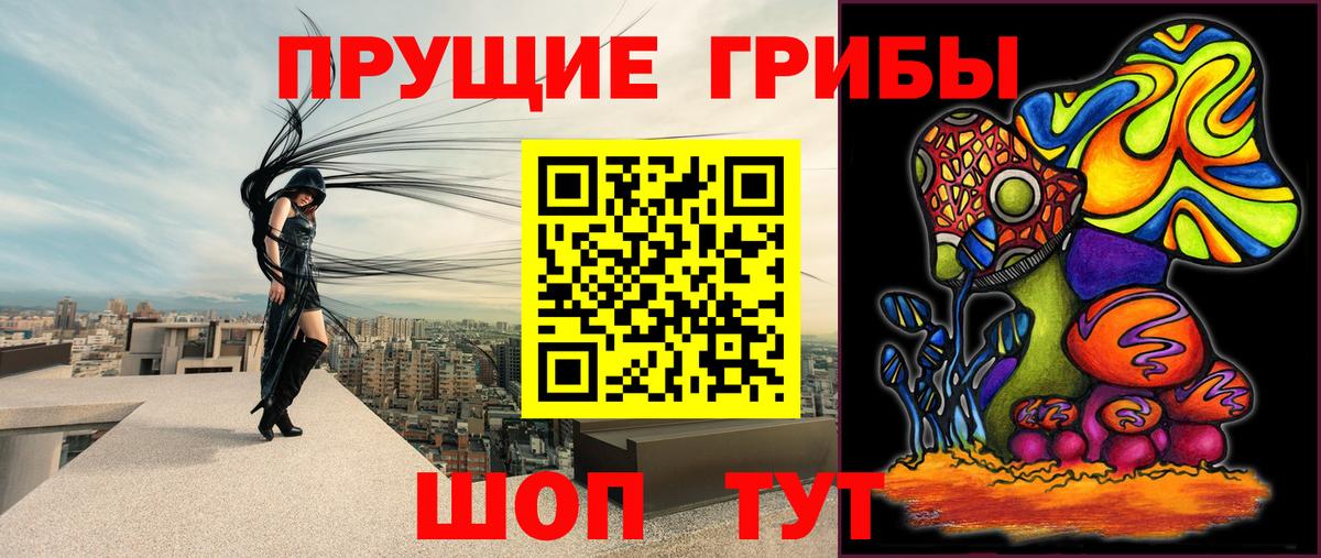 где можно купить   Вход с VPN  Воткинск  Галлюциногенные грибы Magic Shrooms 